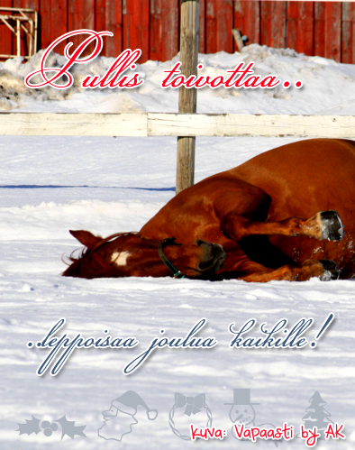 Joulukortti Pakkopullan poppoolta (12/2015)